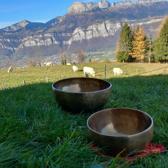 Photo d'une activité de sonothérapie