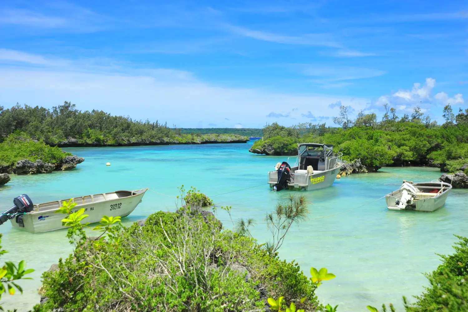 Baie de Roh