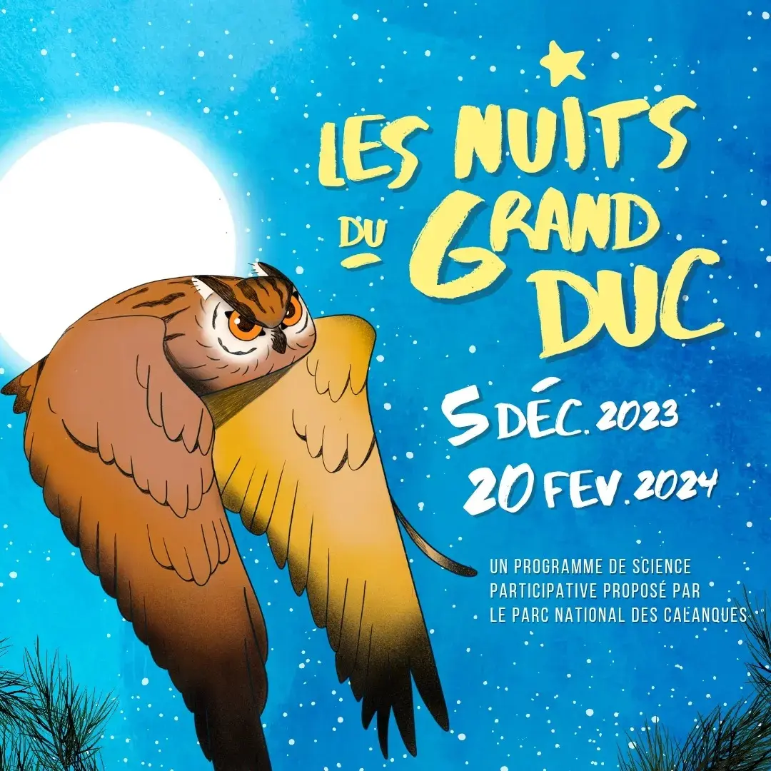 Les nuits du grand-duc