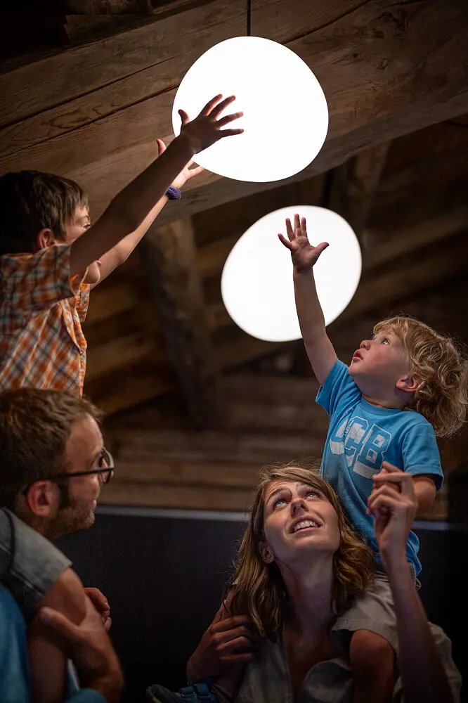 Le réveil des Animaux