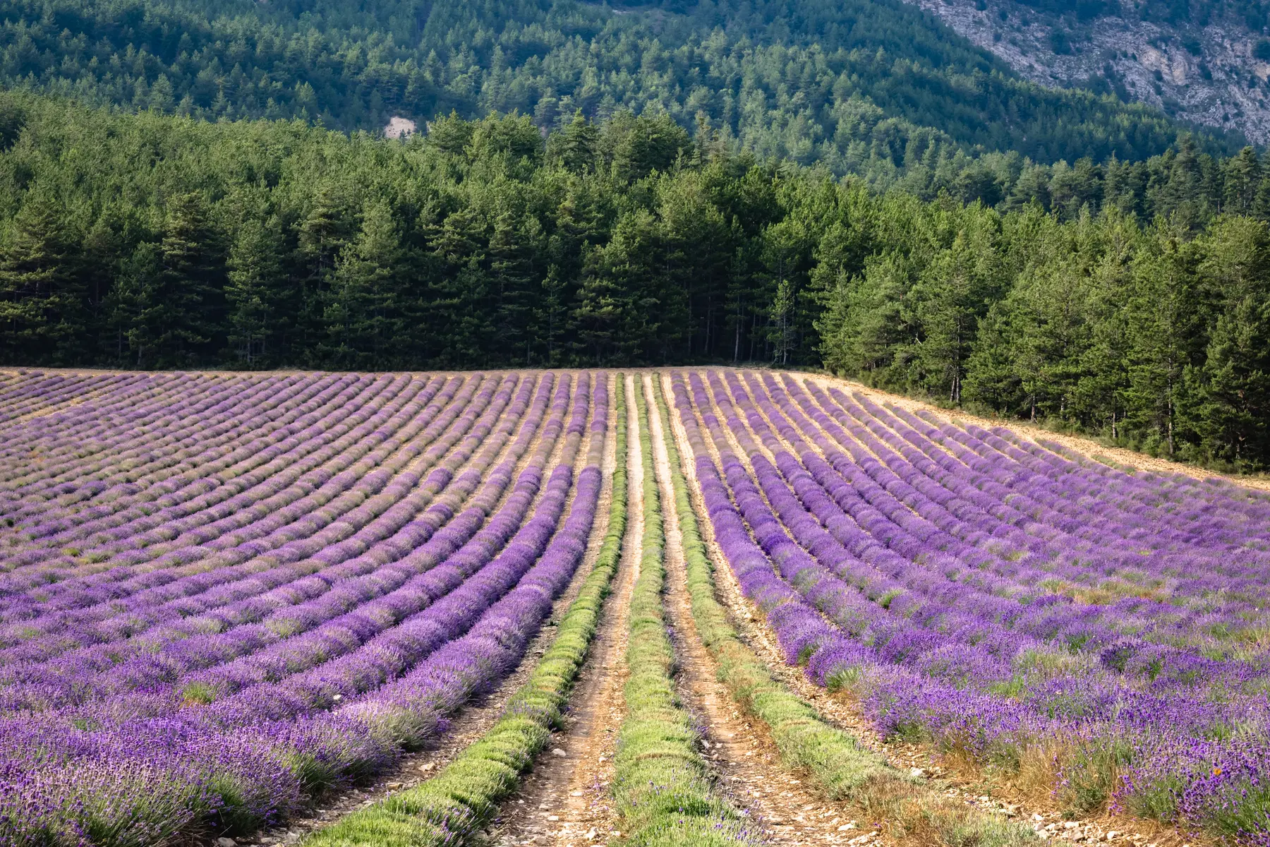 Tour du clos des Combes
