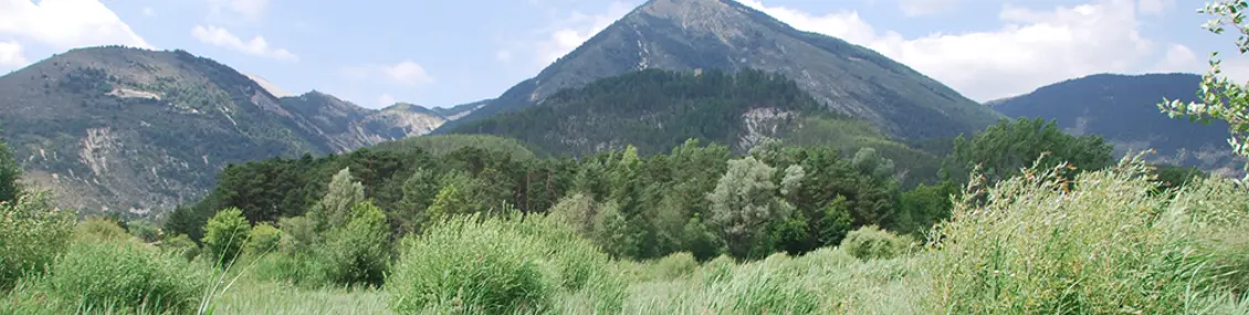 Marais de Château - Garnier