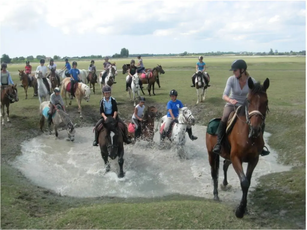 Association du Poney Club Marseille