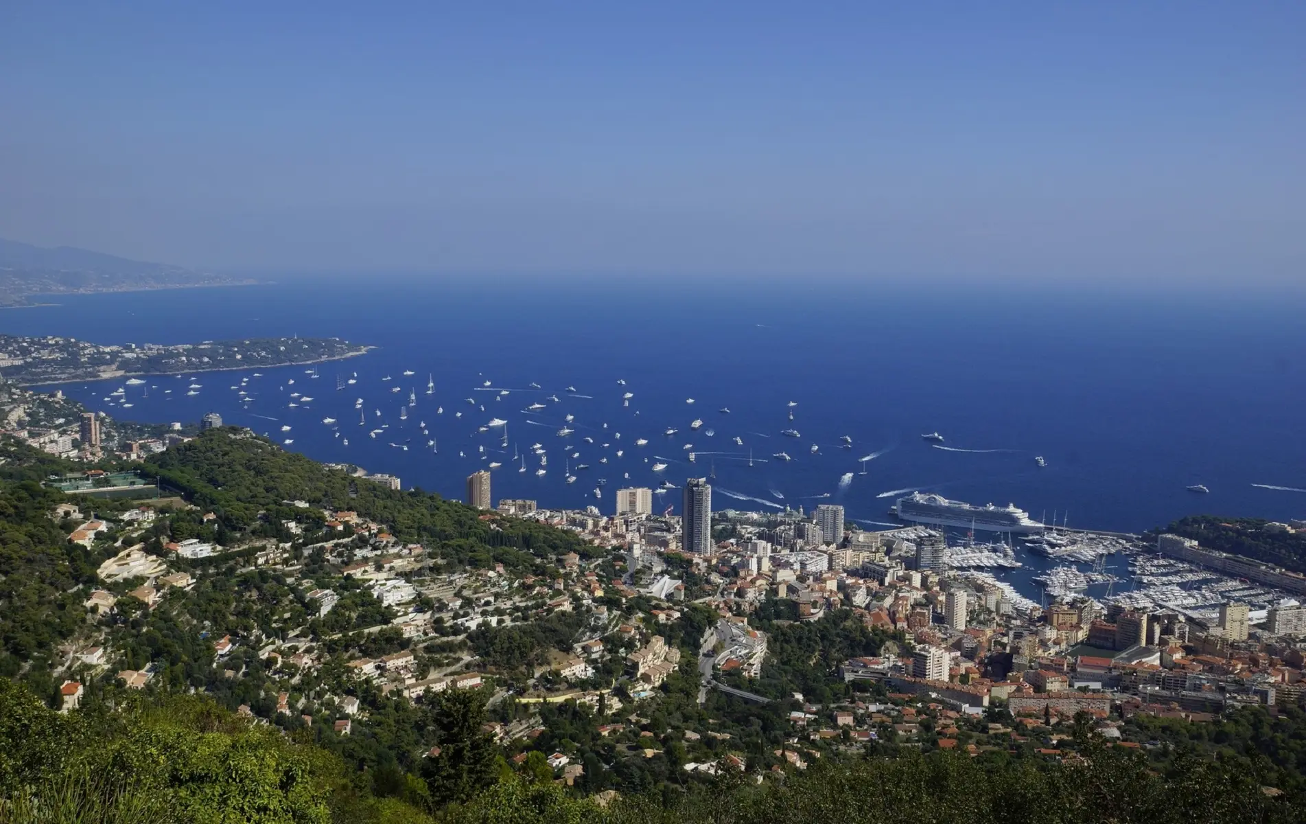 Panoramic view