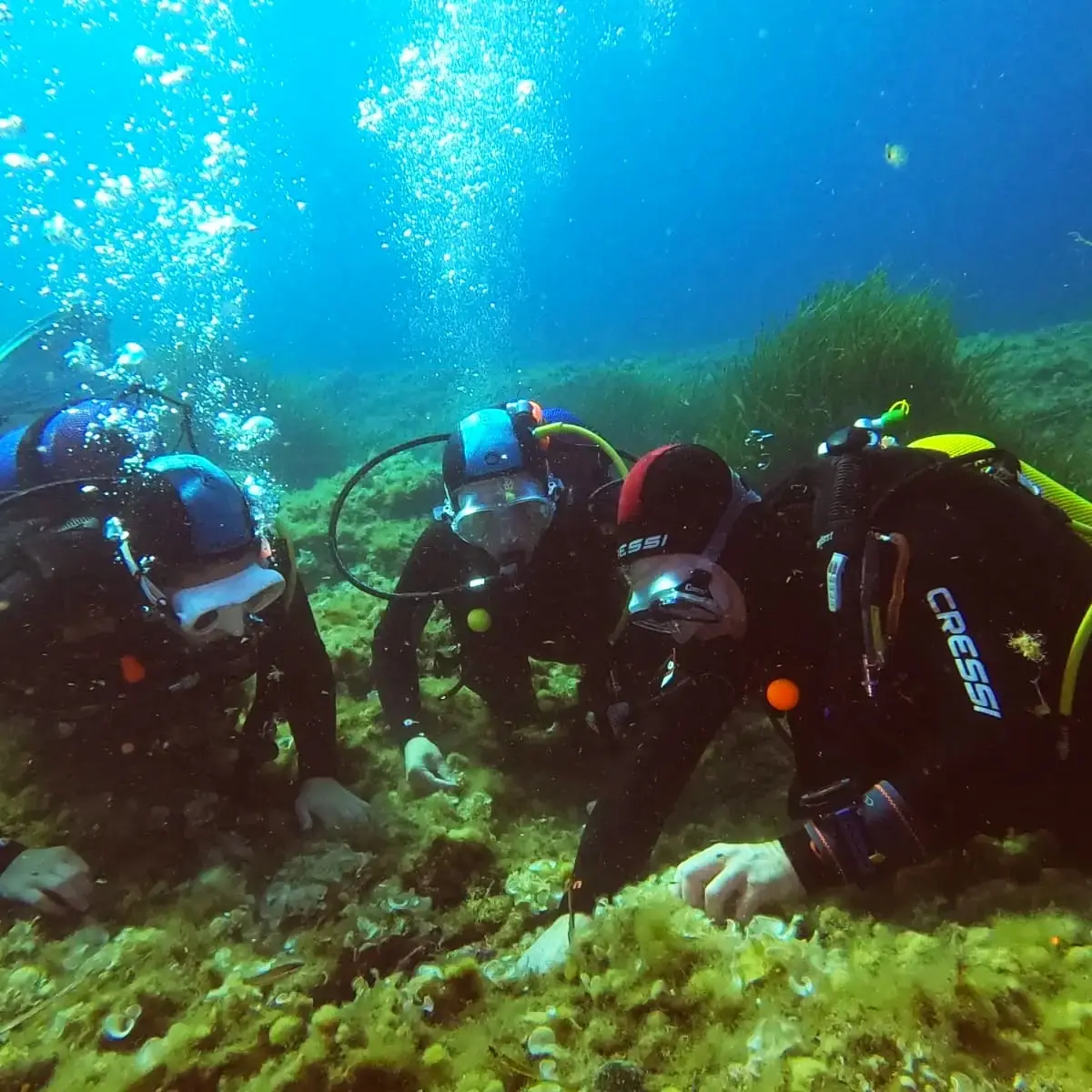 Le Brusc Plongée - Six-Fours-les-Plages