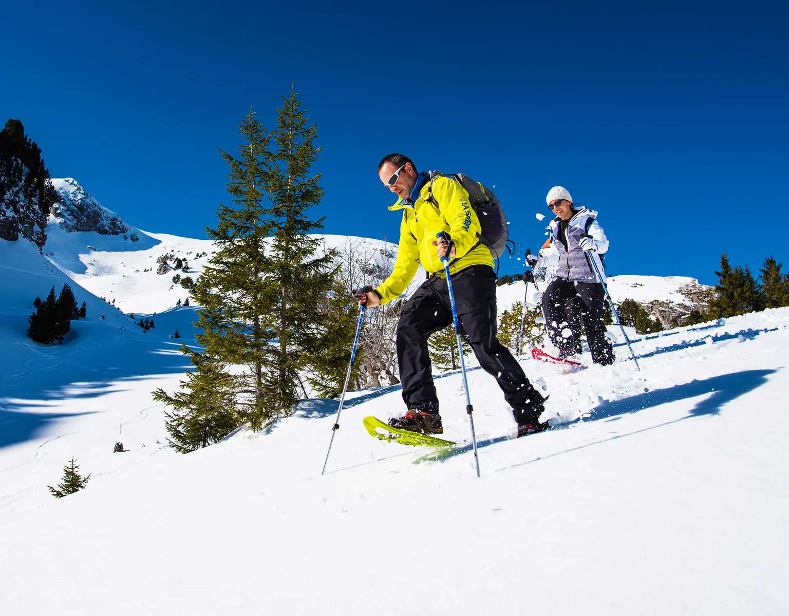 raquette à neige