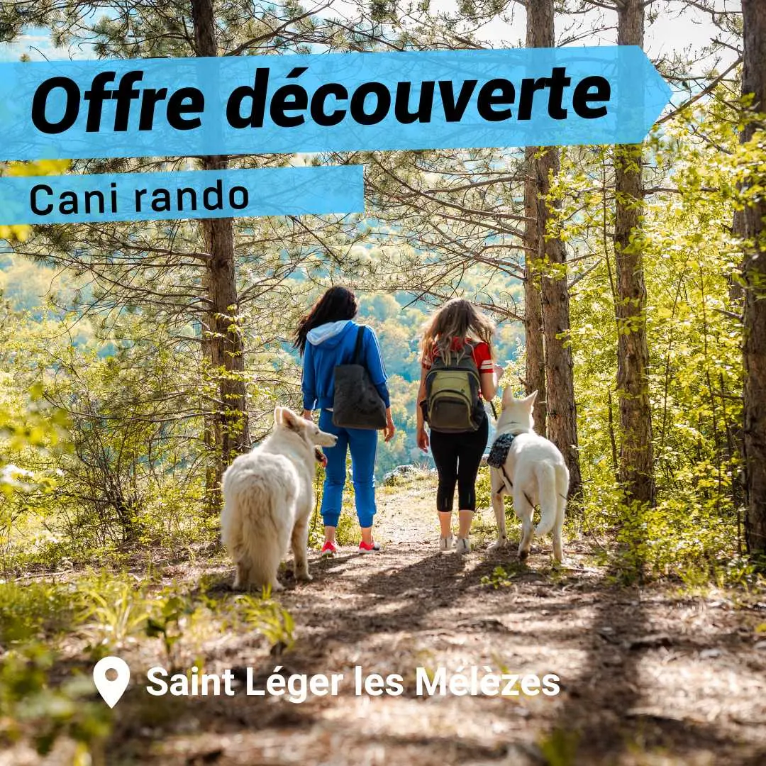 Offre découverte : Cani Rando à Saint Léger_Saint-Léger-les-Mélèzes