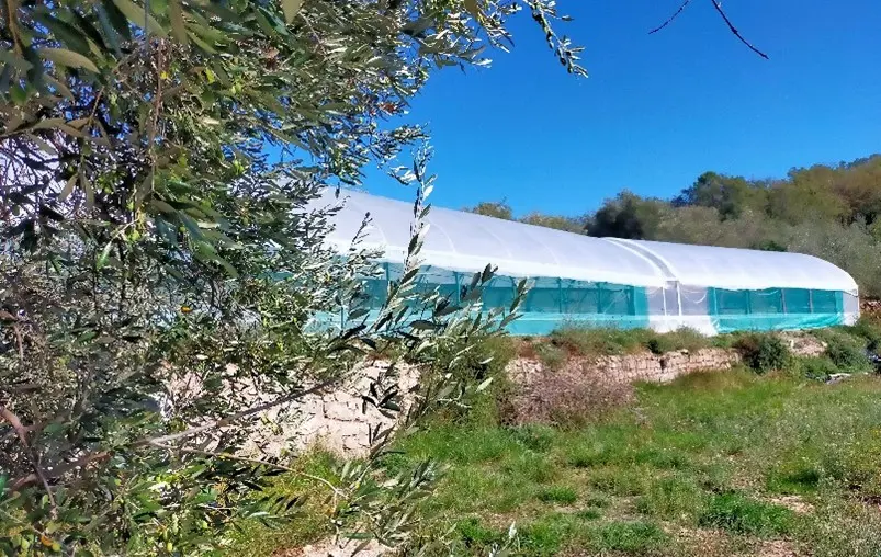 Ferme spiruline du Comté de Nice