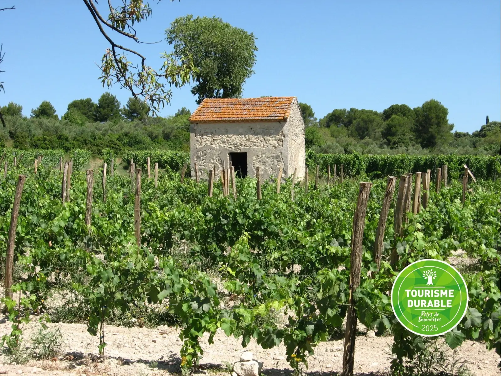 Vignes et mazet - tourisme durable