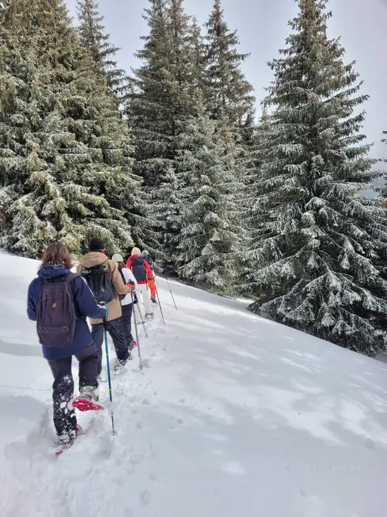 Randonnée hivernale à la journée