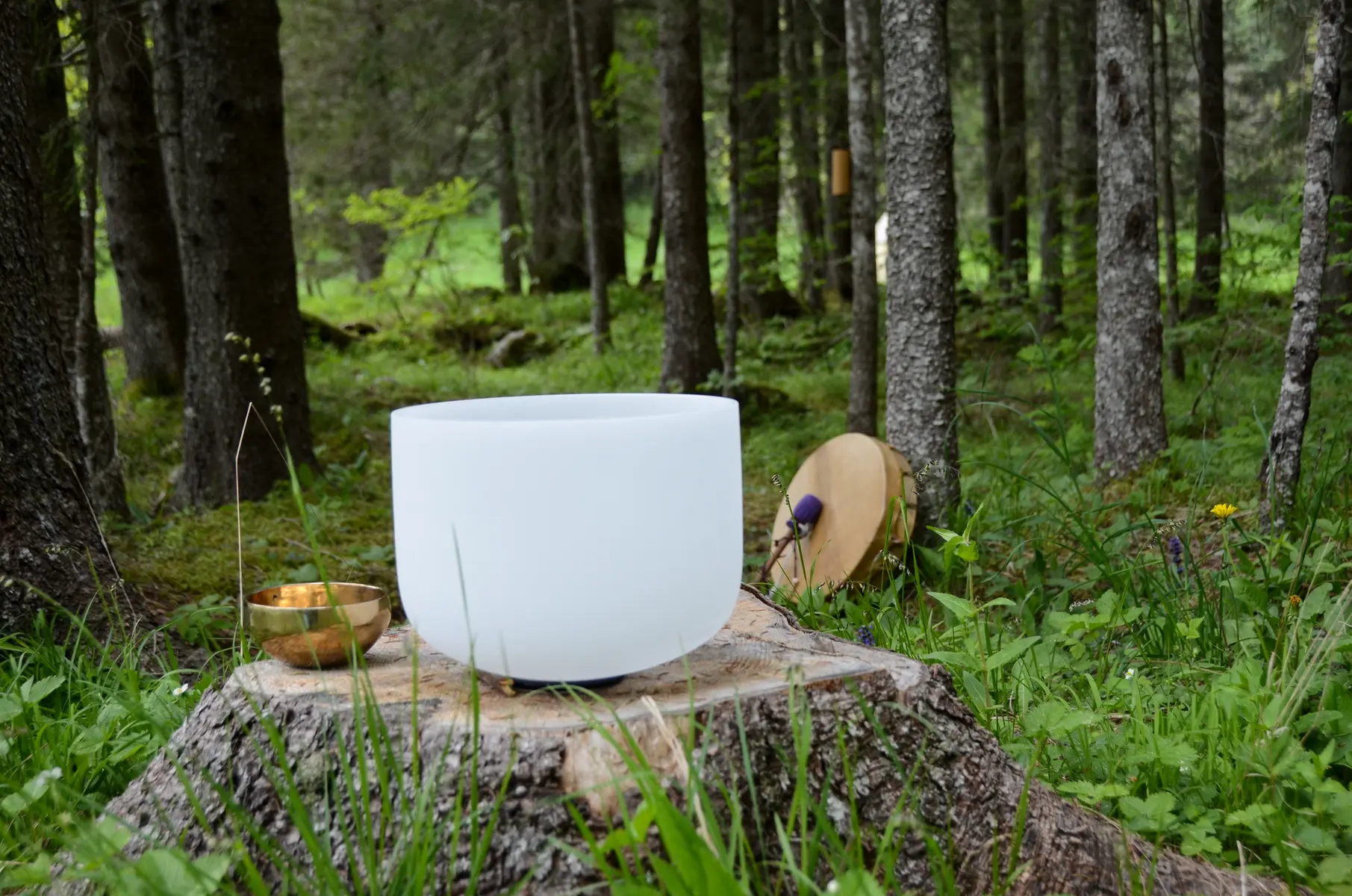 Relaxation Sonore entre Terre et Ciel_Les Contamines-Montjoie