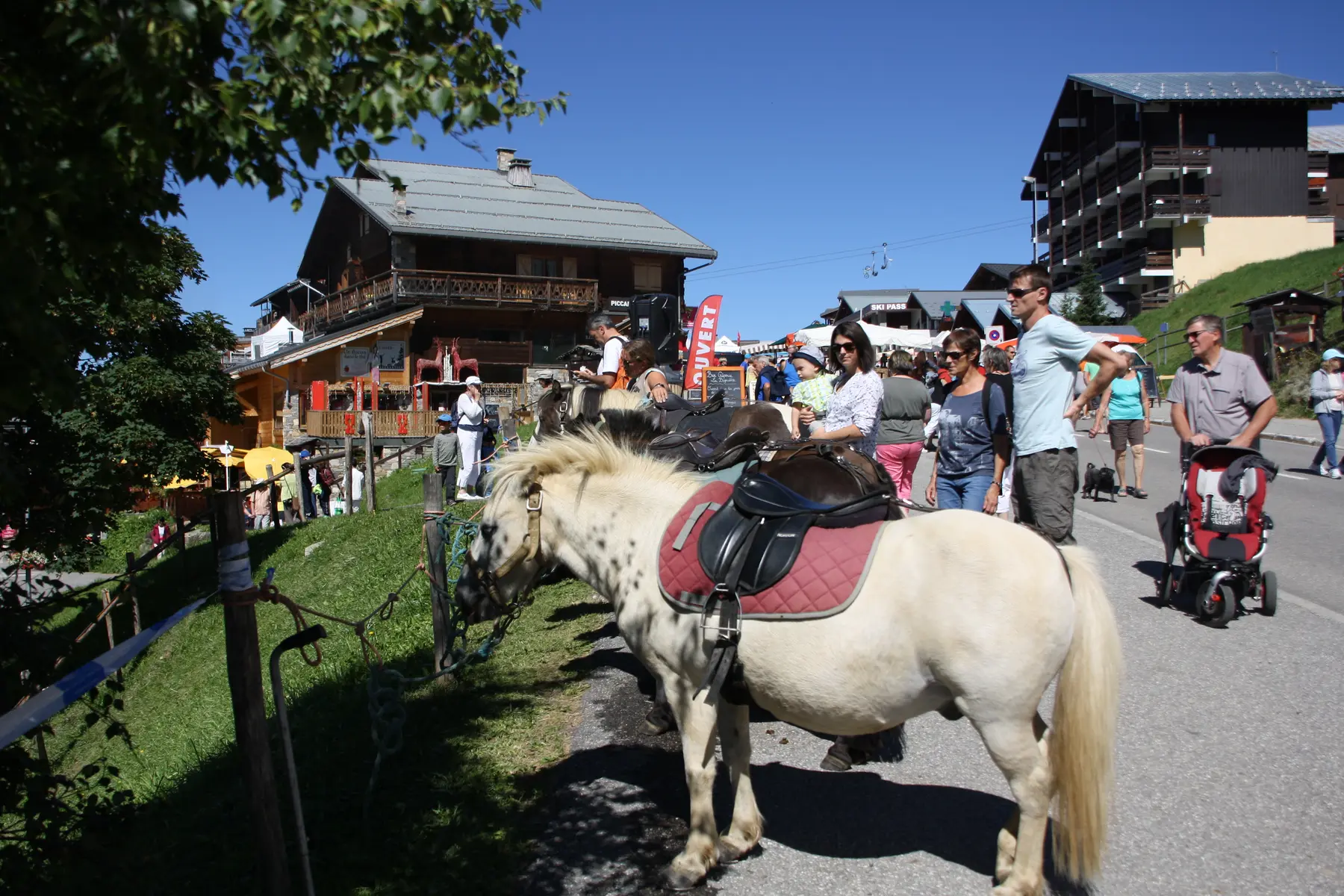 Balade à poney en Savoie