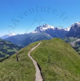 montagne