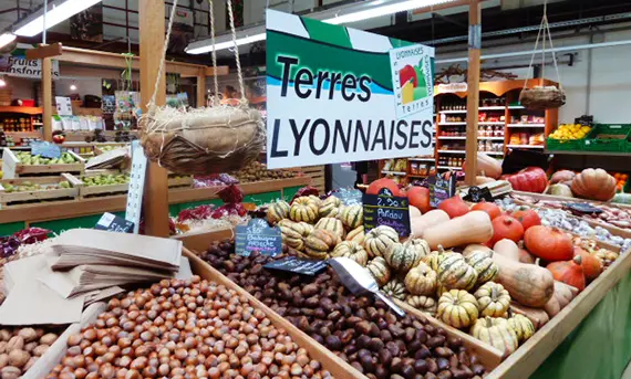 Terres Lyonnaises