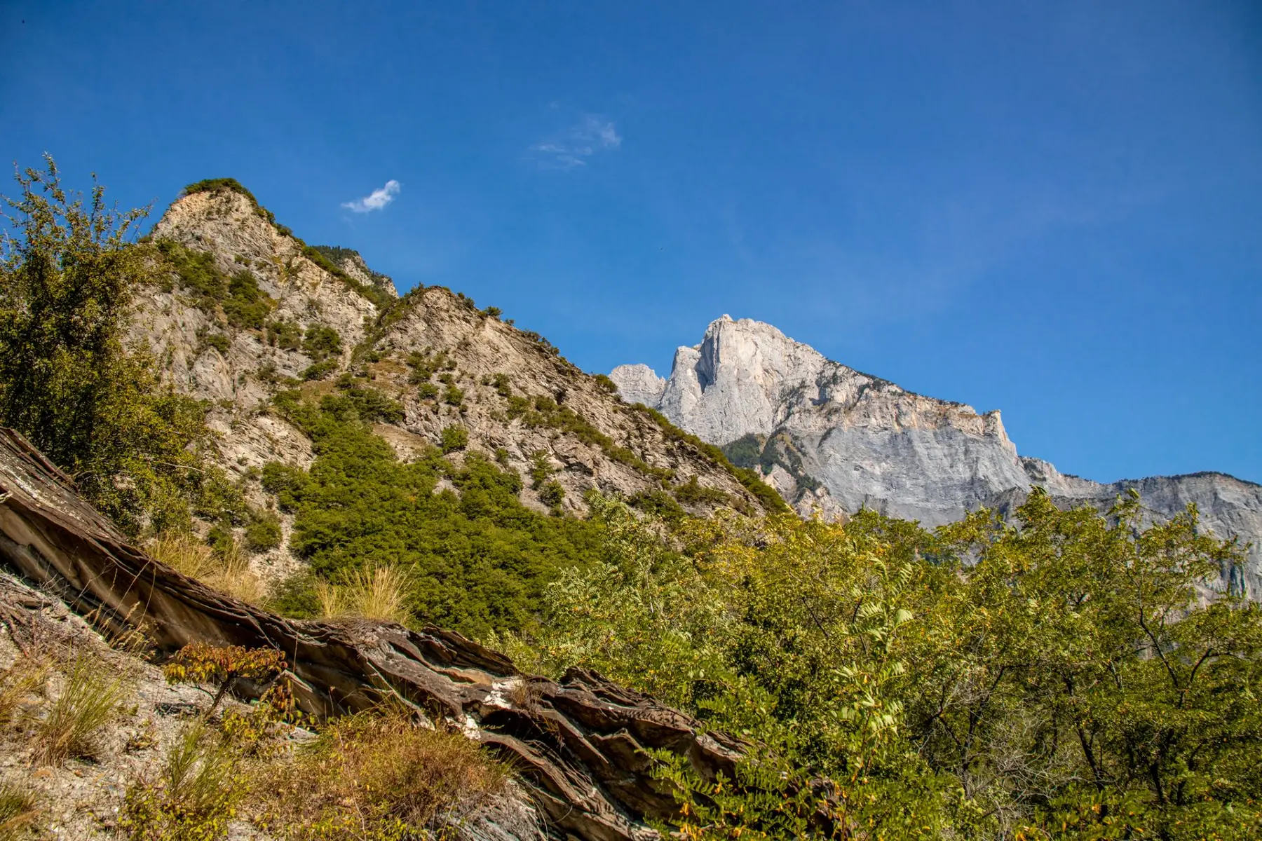 Vue Croix des têtes