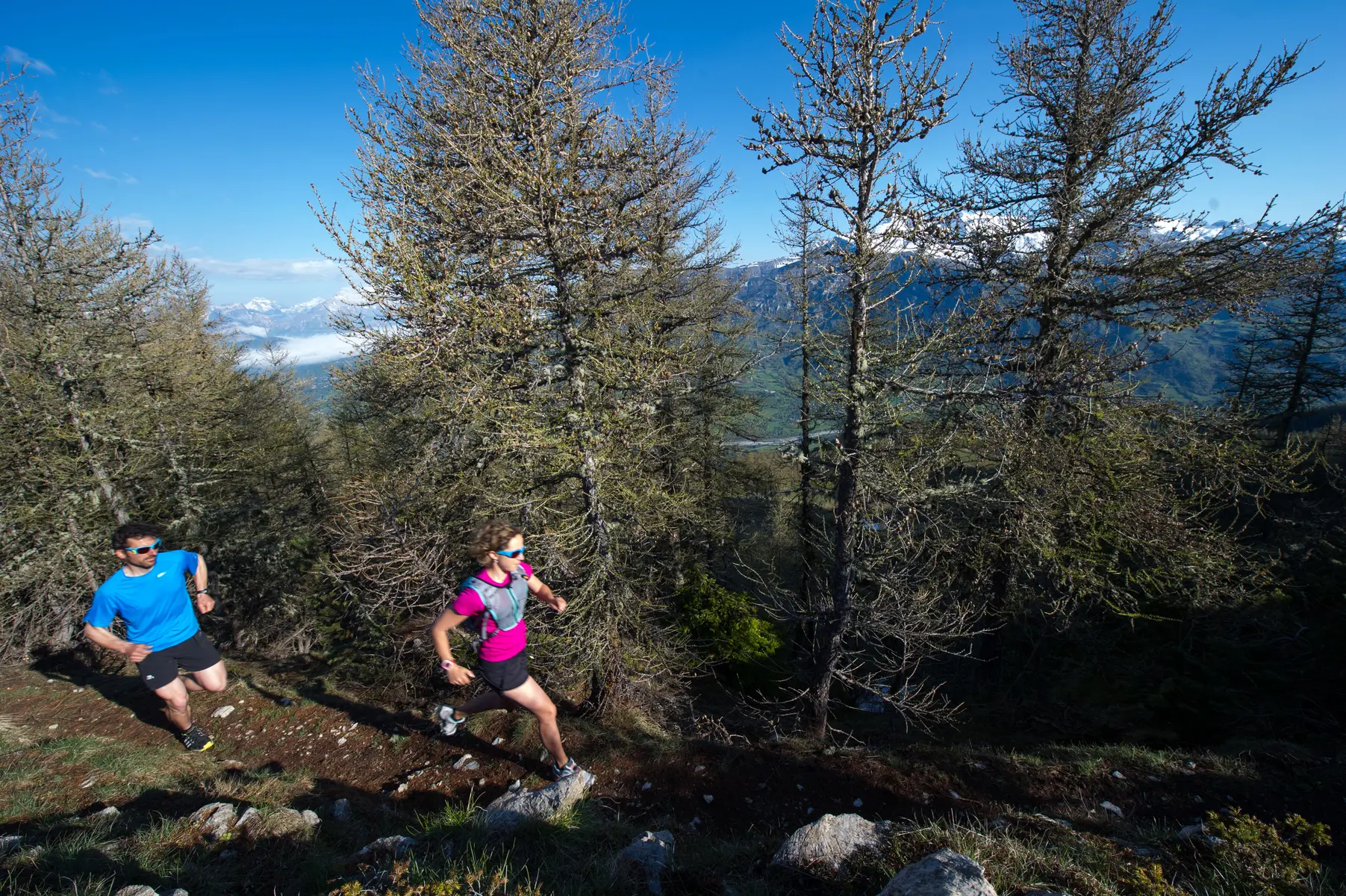Trail en Champsaur Valgaudemar