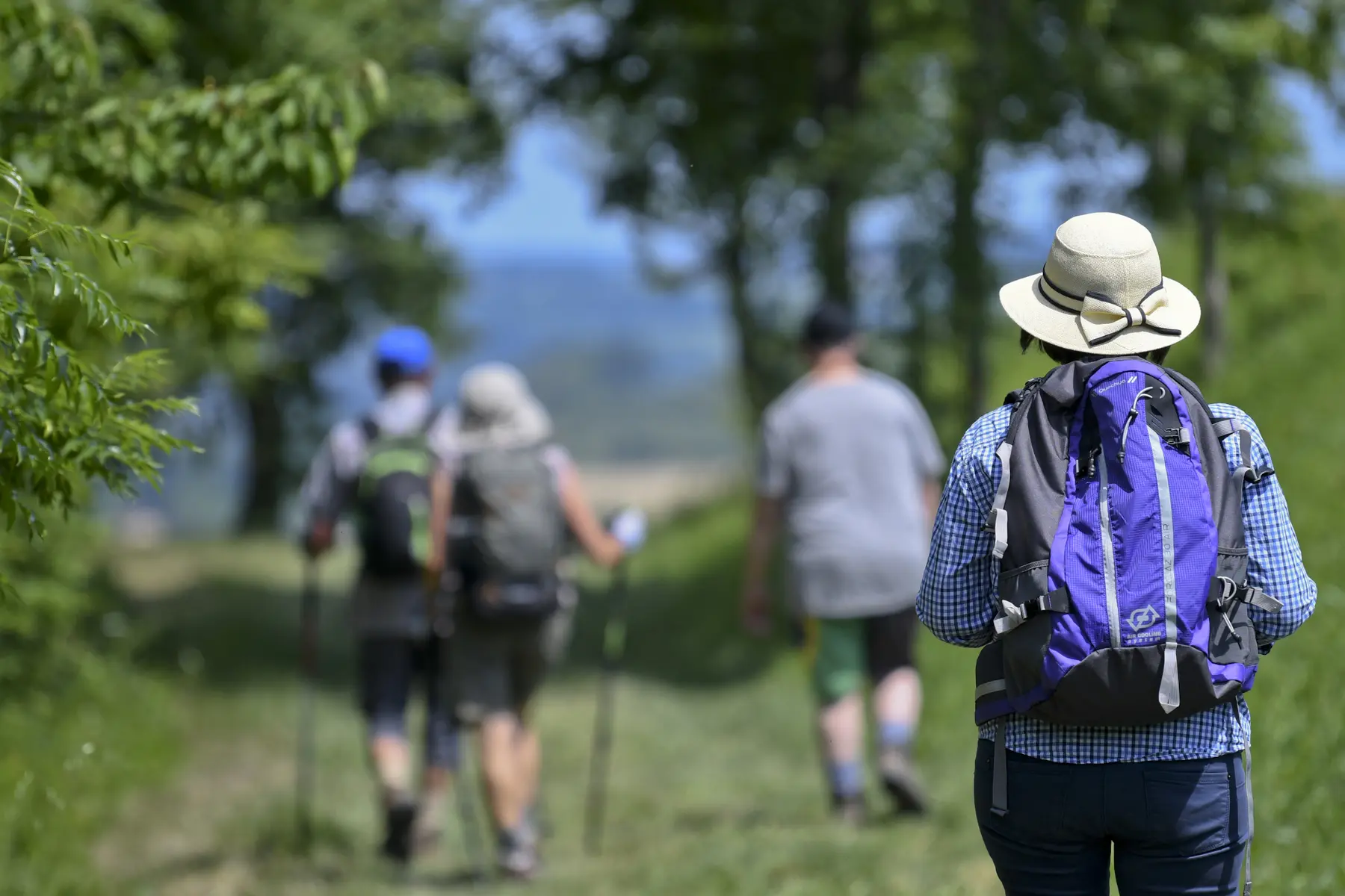 Les canaux La meyerie