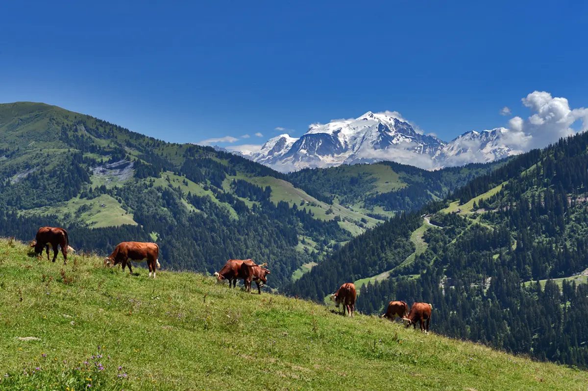 Alpage du Mégevan