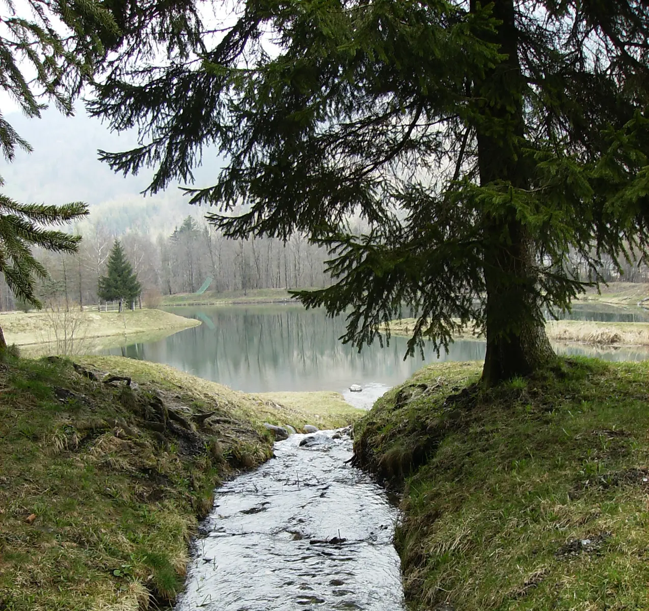 Plan d'eau Marcôt
