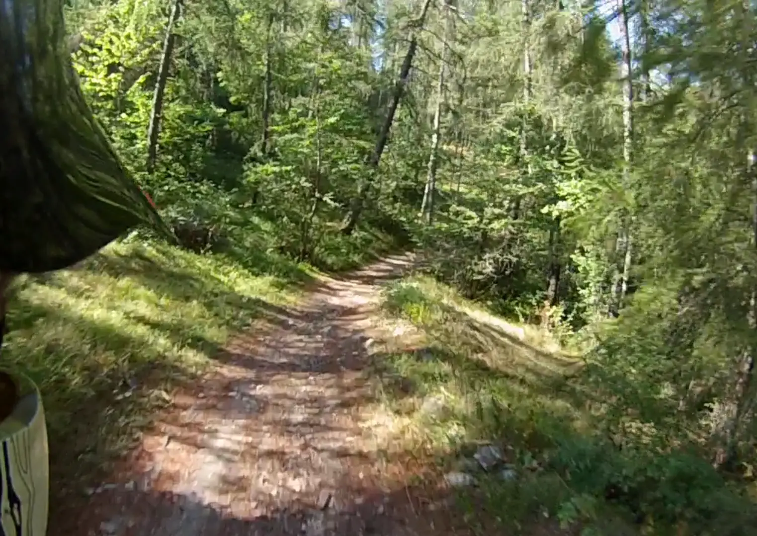 Sentier descendant le long de la Guisane