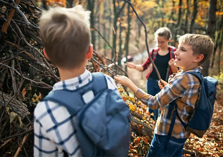 Enfants en forêt
