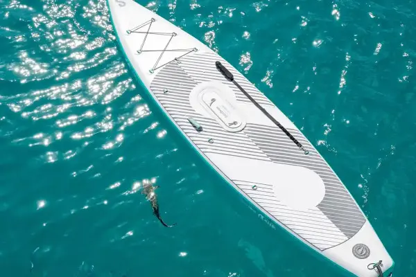 E-paddle