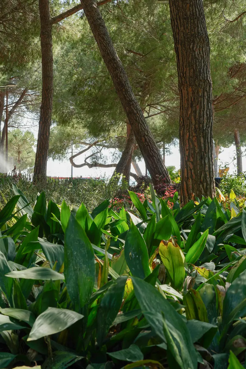 Jardin de la Pinède_Juan-les-Pins