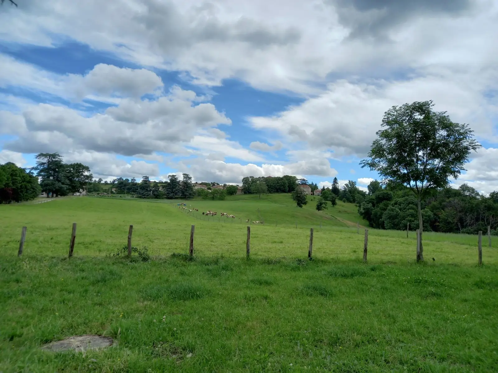 Paysage Chevrières
