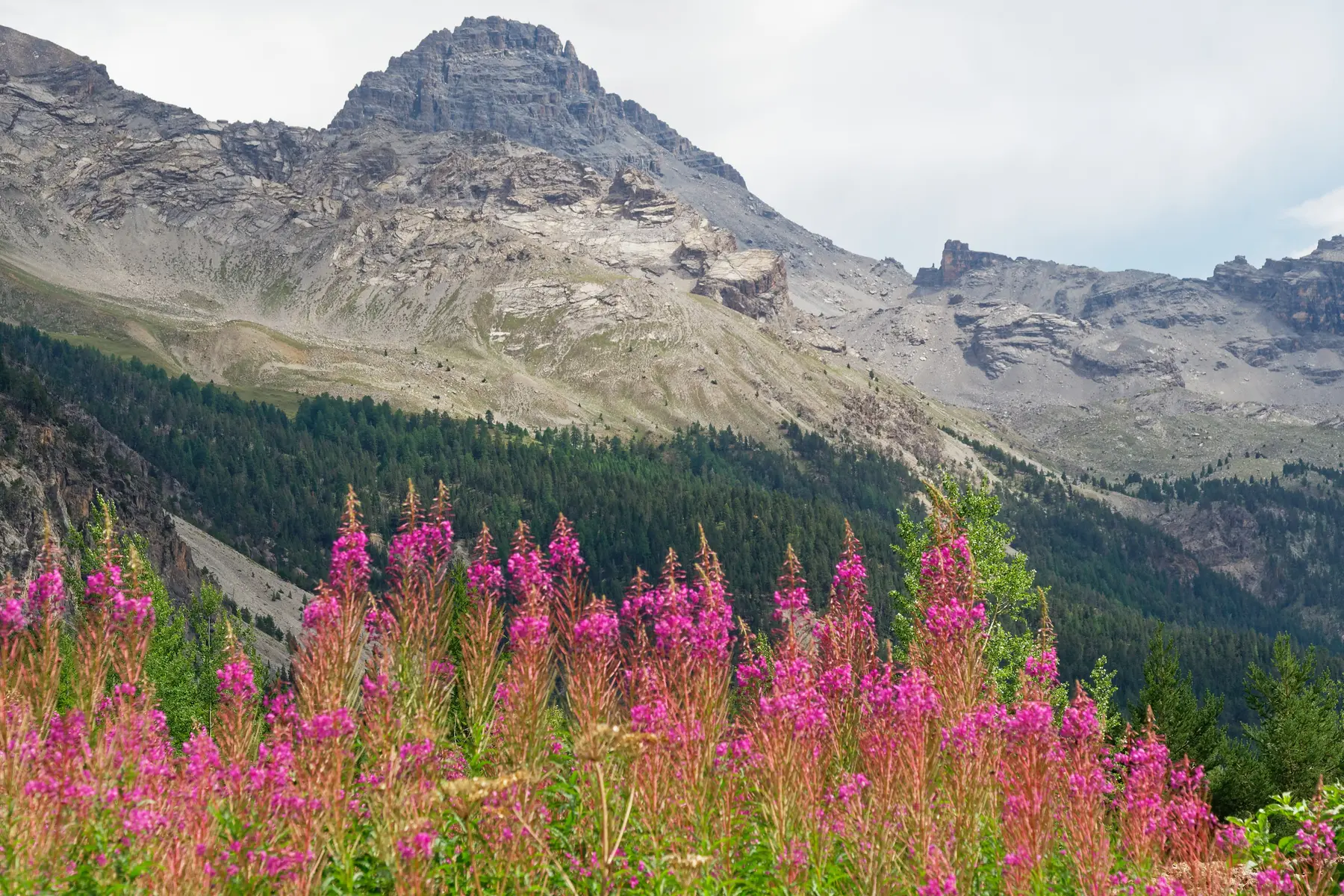 Pic de Rochebrune - Cervières