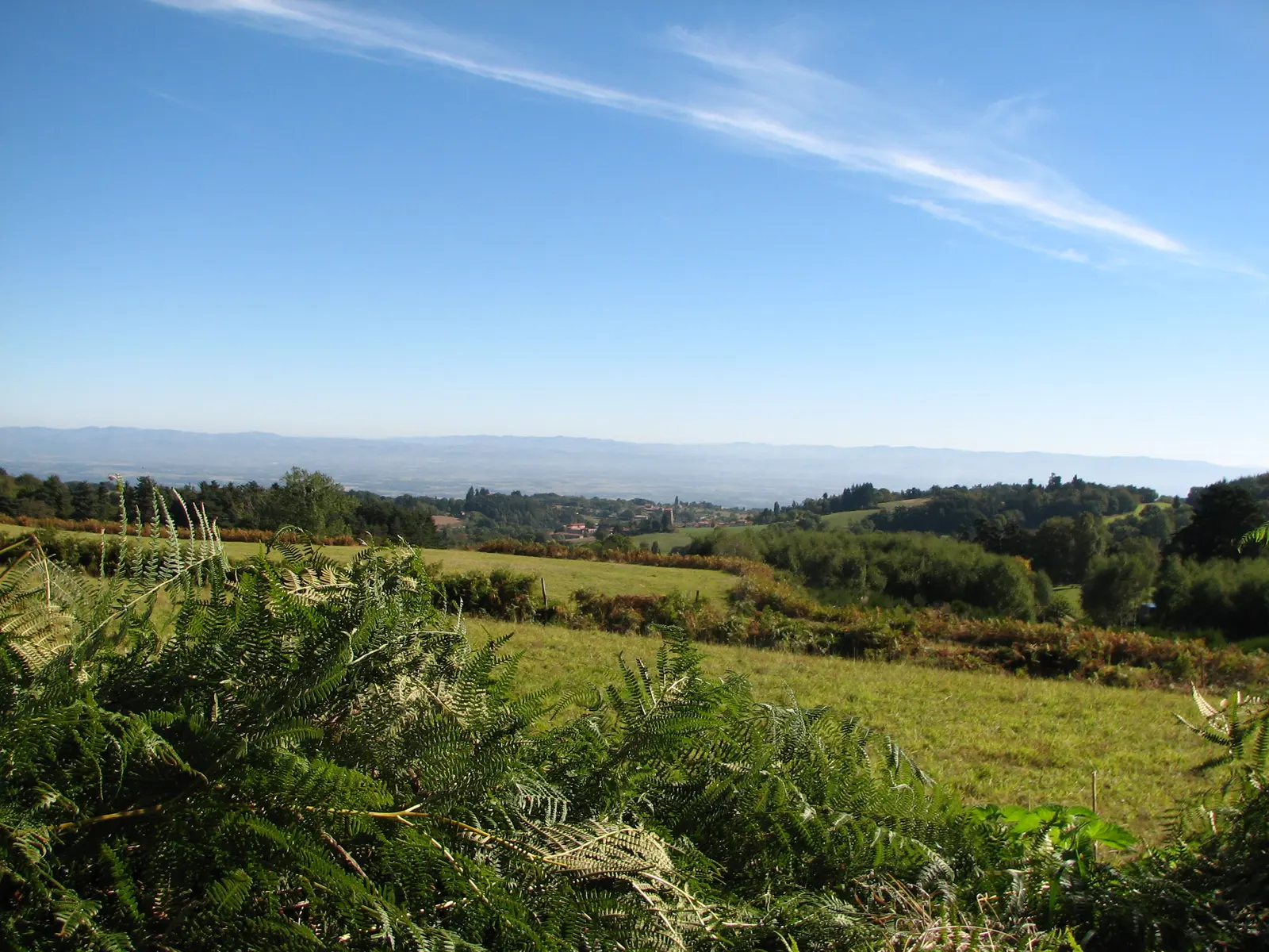 Verrières depuis Conol