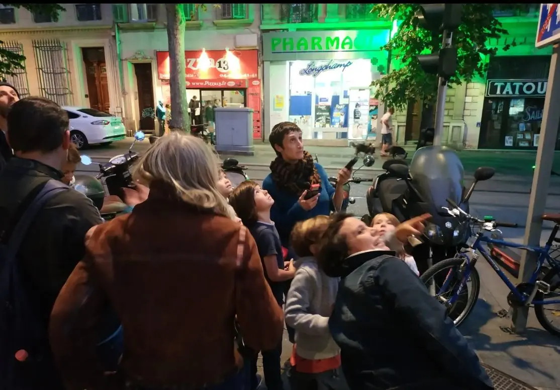 Observation des chauves souris
