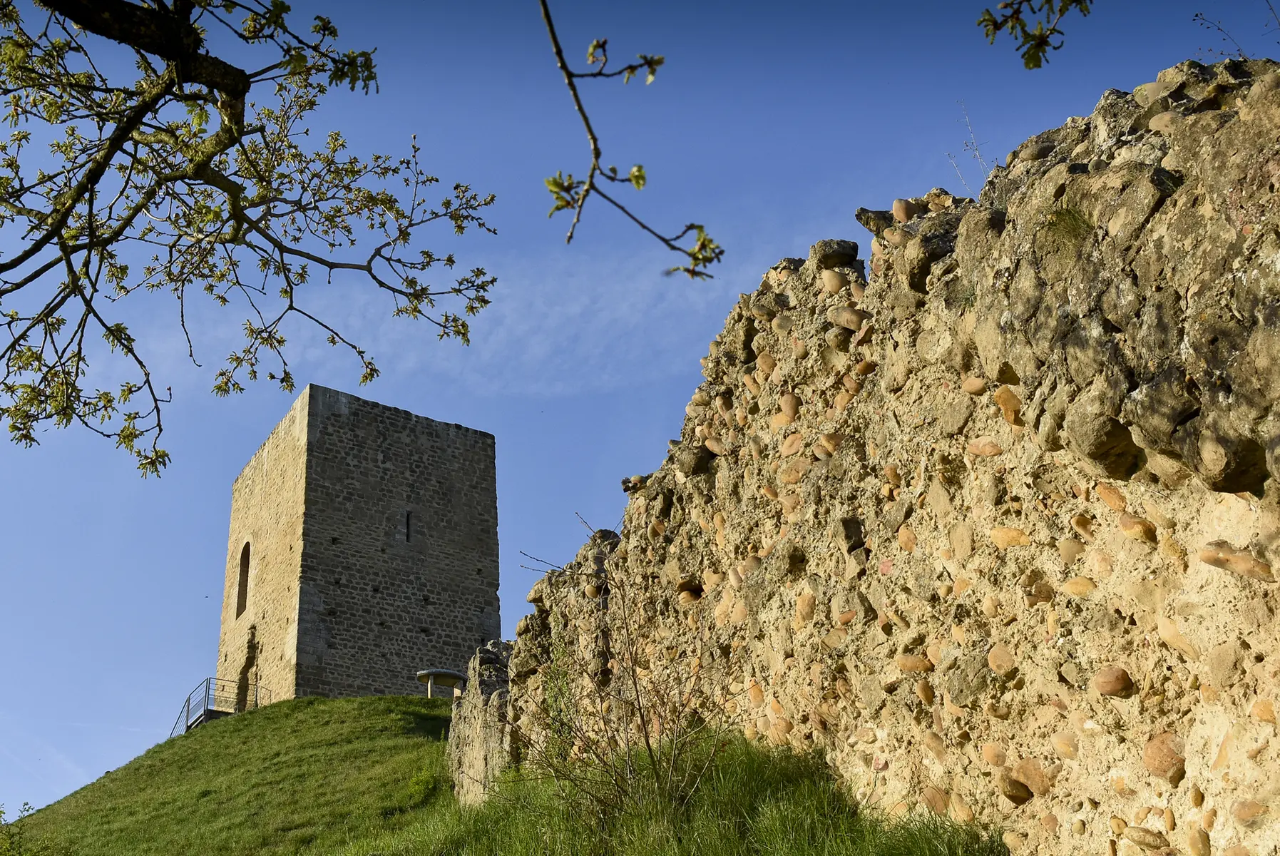 La tour et les crêtes - Albon