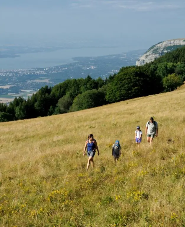 Alpages du Salève