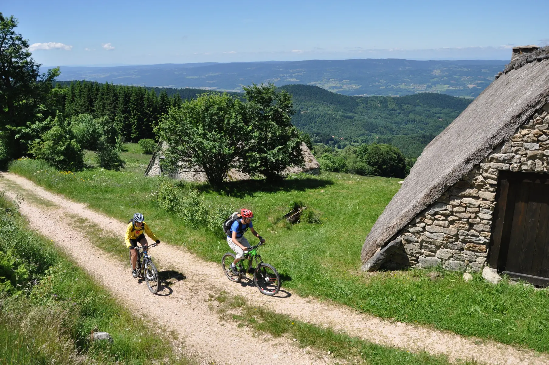 VTT
