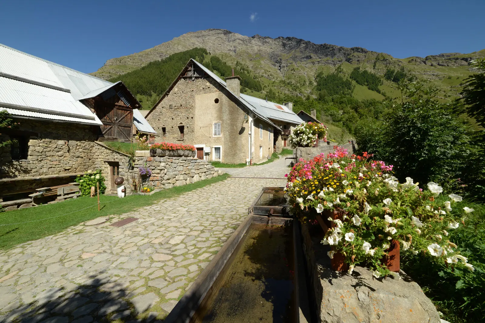 The village of Prapic in summer
