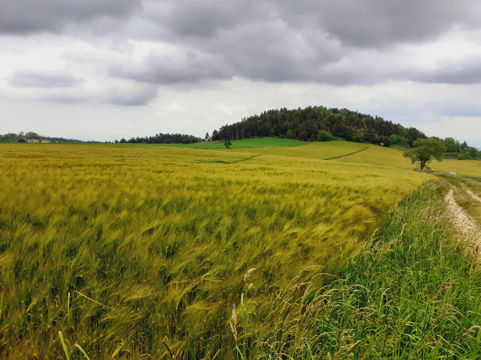 Chazelles-sur-Lavieu - Lézigneux