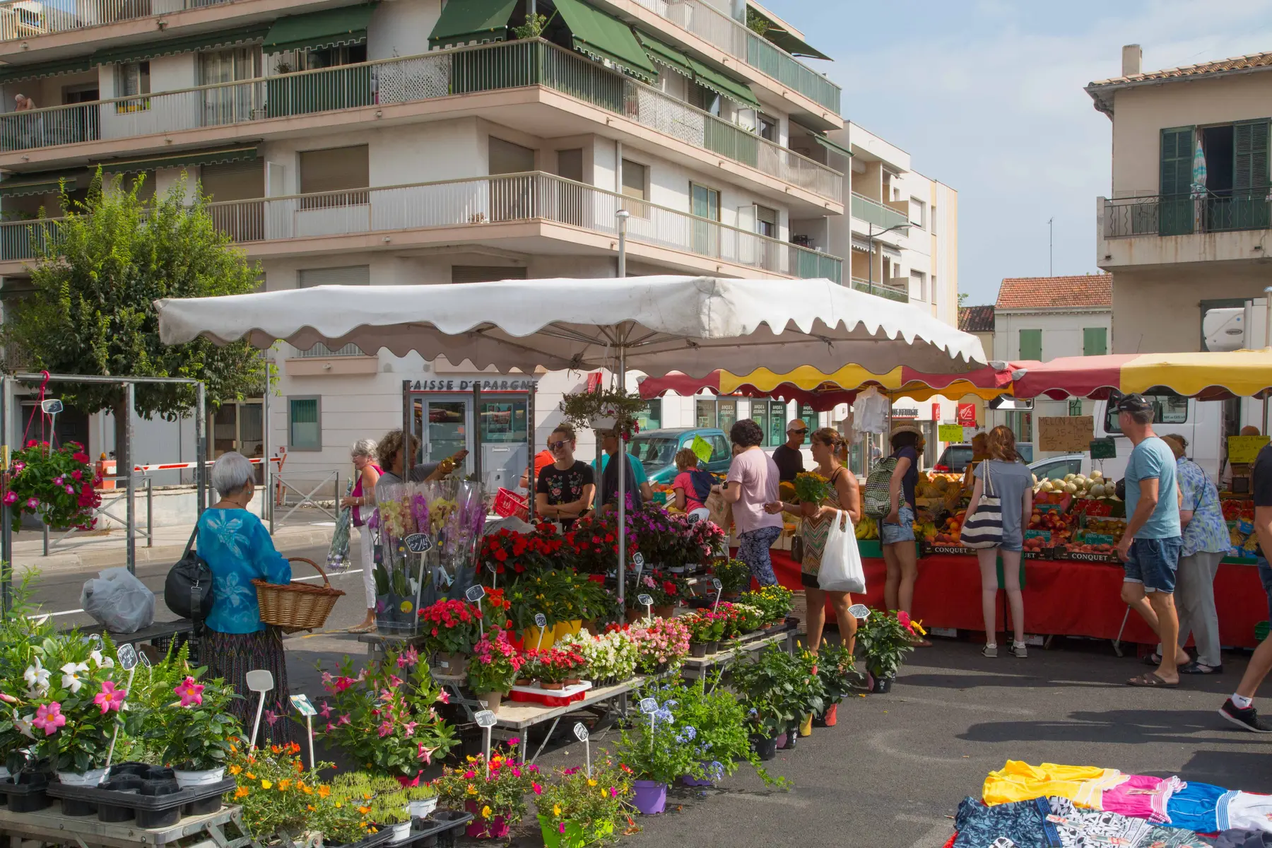 stand fleurs