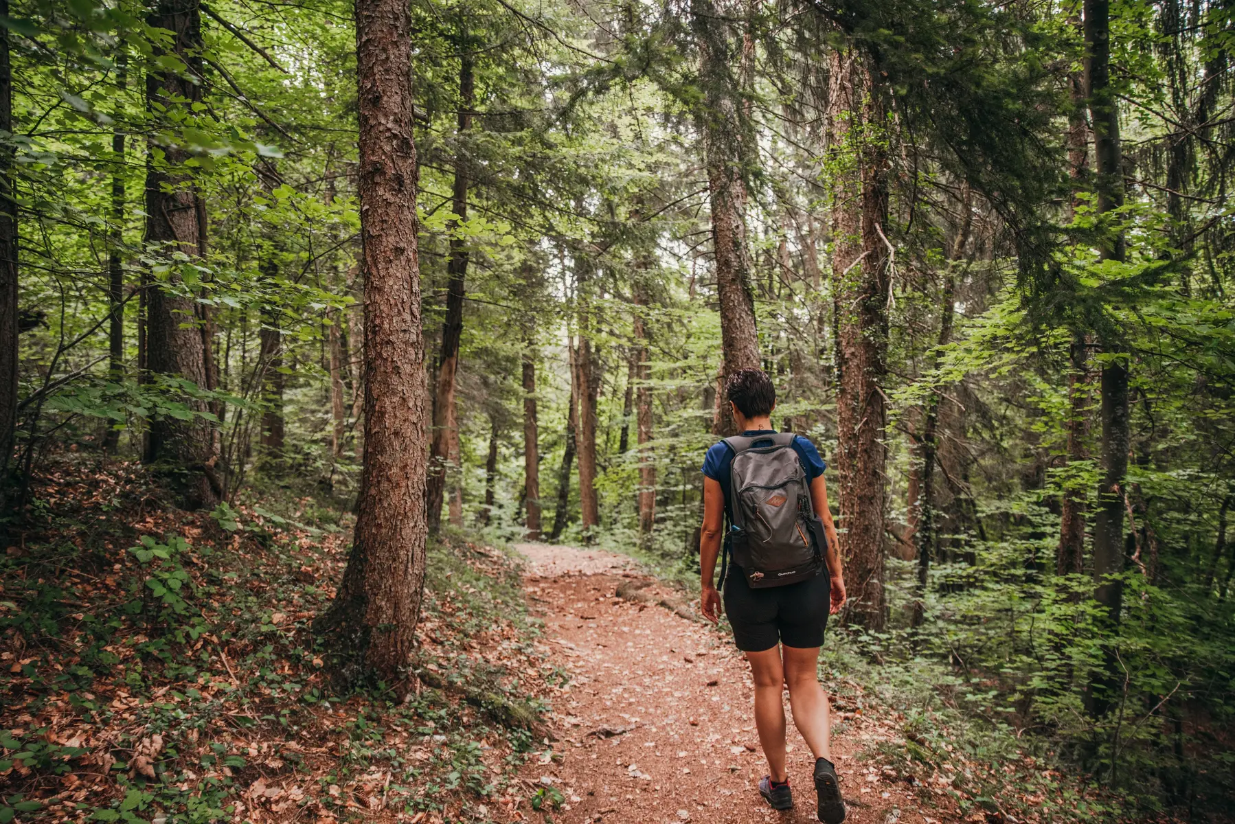 Passage en forêt