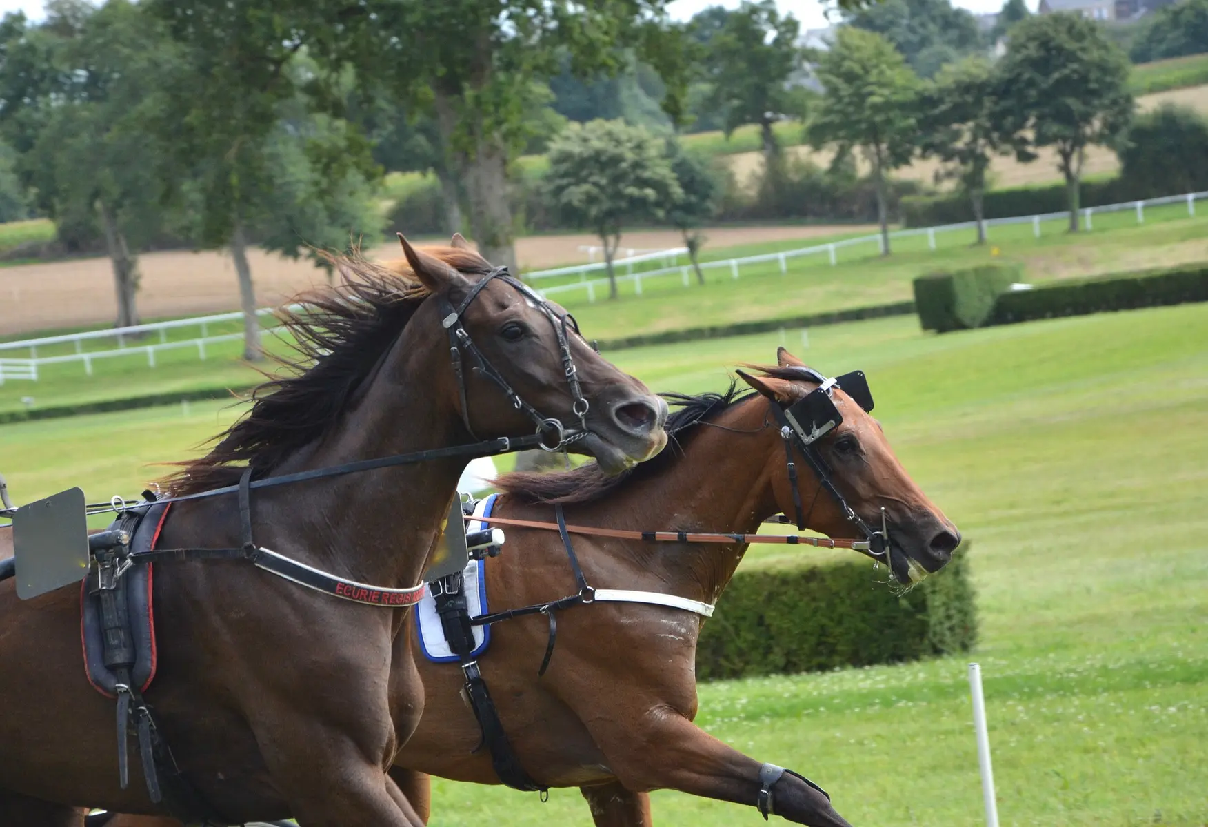 Courses à l'hippodrome de Châtillon