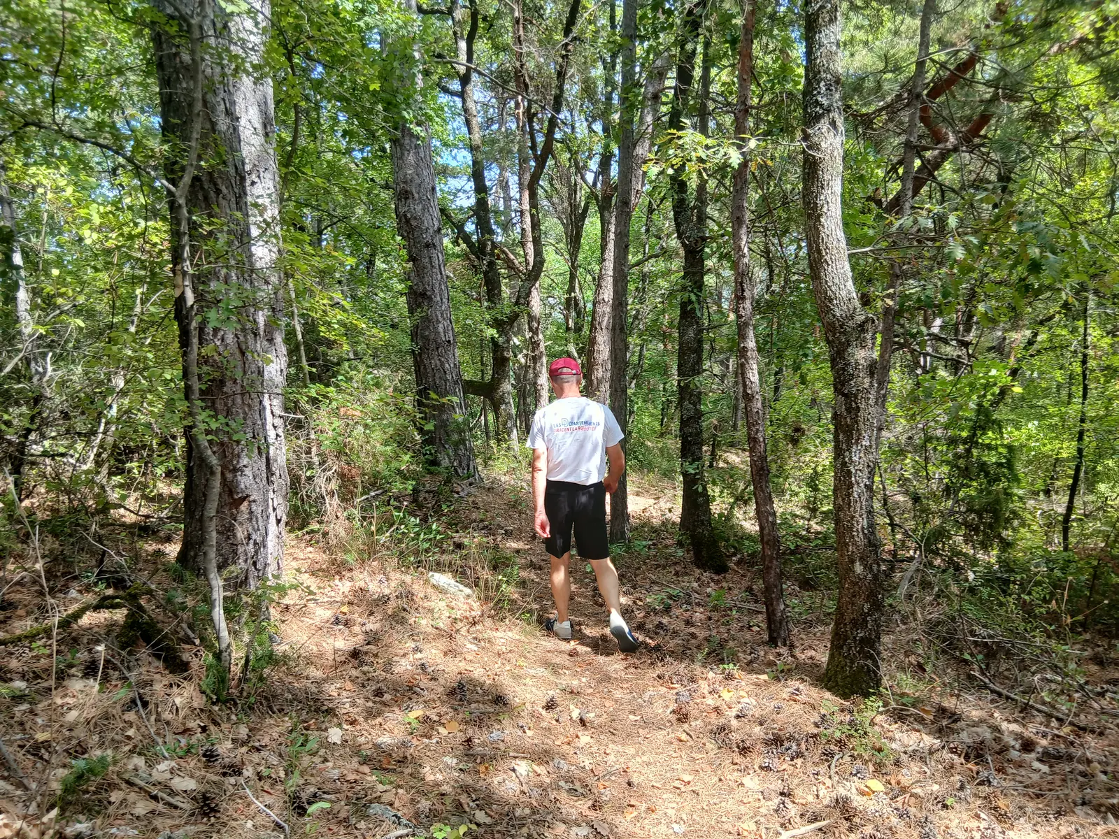 Sur le sentier botanique