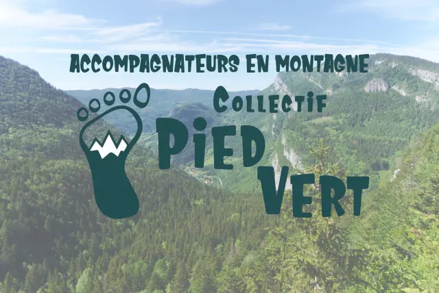 pied vert