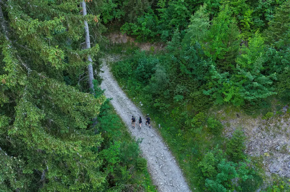 Randonnée pédestre : Boucle verte des écureuils_Faverges-Seythenex