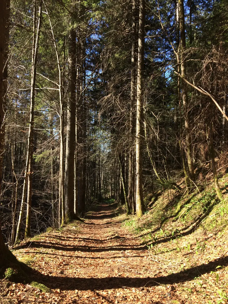 Parcours trail