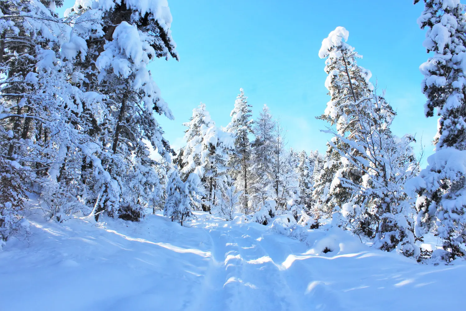 Raquettes Les Auréous, Ancelle
