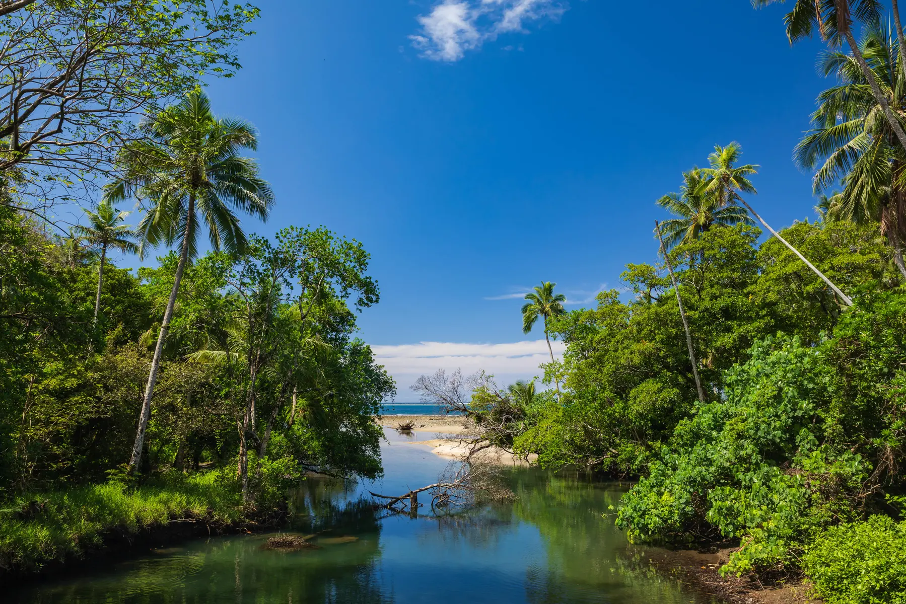 embouchure, vert, paysage, cascade de Tao, Hienghène