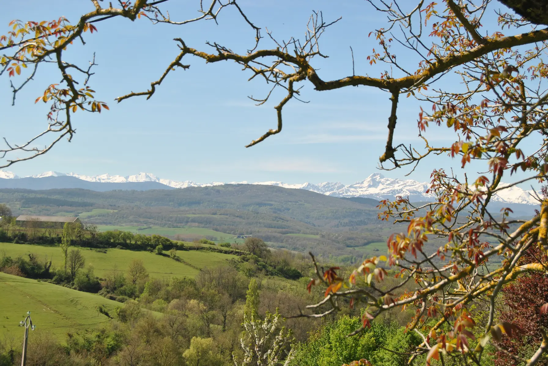 Vue sur les Pyrénées La Barraca par Castex