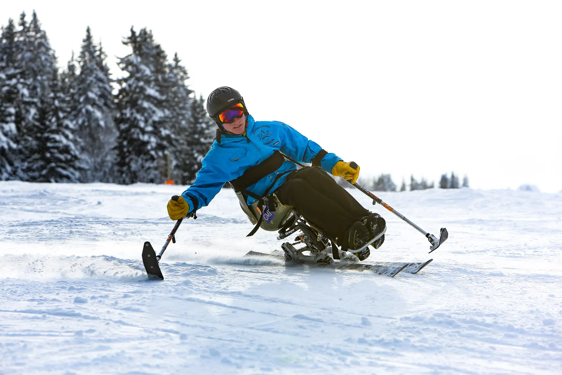 Personne skiant avec un dualski
