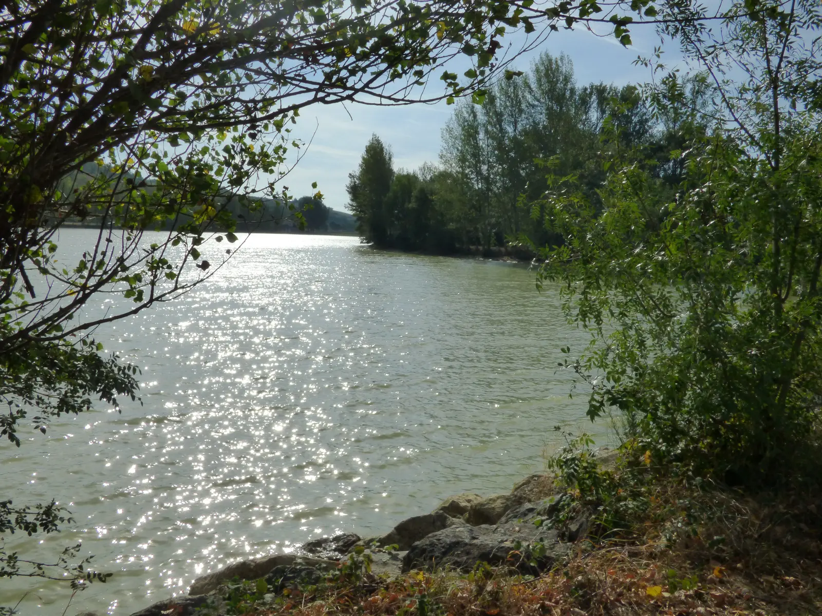 Berges du lac de St Ybars