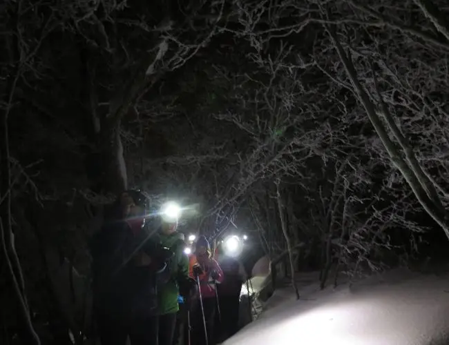 Sorties en raquettes avec accompagnateur en montagne, vallée du Champsaur