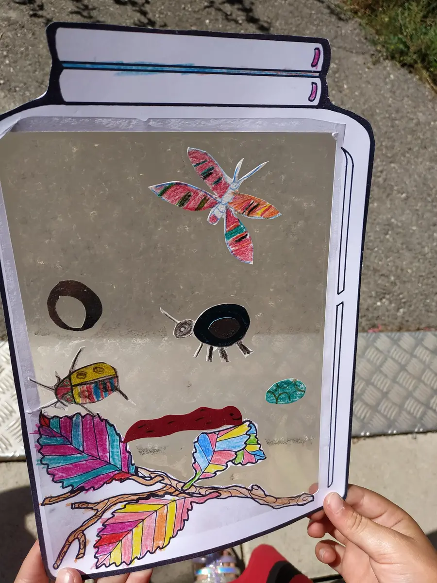 boite à insectes art